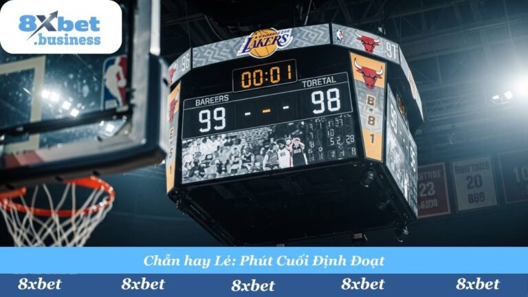 Kèo Chẵn Lẻ Bóng Rổ (Odd/Even) Là Gì? Luật Chơi & Mẹo Tại 8Xbet