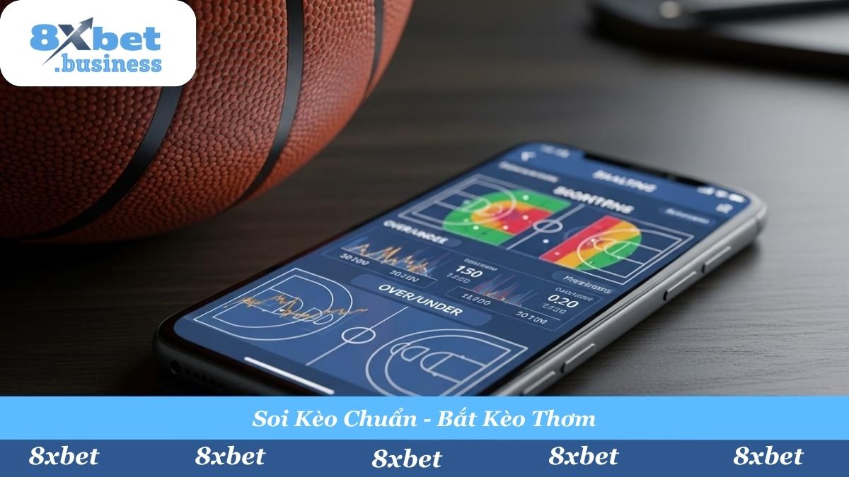 Hệ thống soi kèo chuyên sâu tại 8Xbet giúp bạn phân tích kỹ lưỡng các chỉ số Moneyline, Tài Xỉu trước khi xuống tiền.