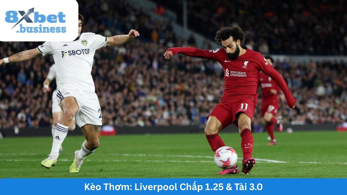 ty-le-keo-nha-cai-liverpool-leeds-keo-chap-tai-xiu